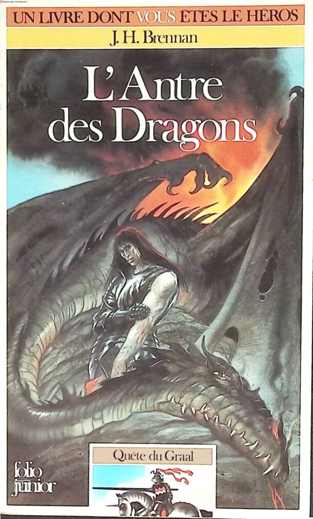 Dragon's Den - A Choose Your Own Adventure - JH Brennan - 1986 - book
