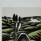 The Hare of Vatanen - Arto Paasilinna - 2013 - book / 2