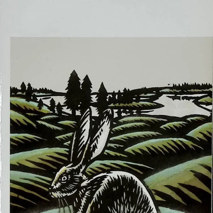 The Hare of Vatanen - Arto Paasilinna - 2013 - book