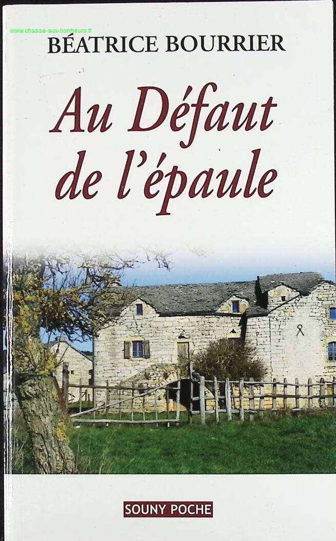 In the Shoulder Defect - Béatrice Bourrier - book