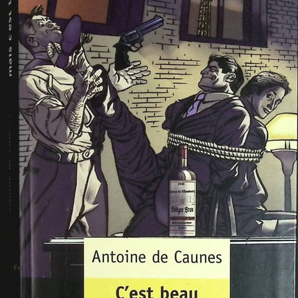 Es ist schön, aber es ist traurig - Antoine de Caunes - Buch