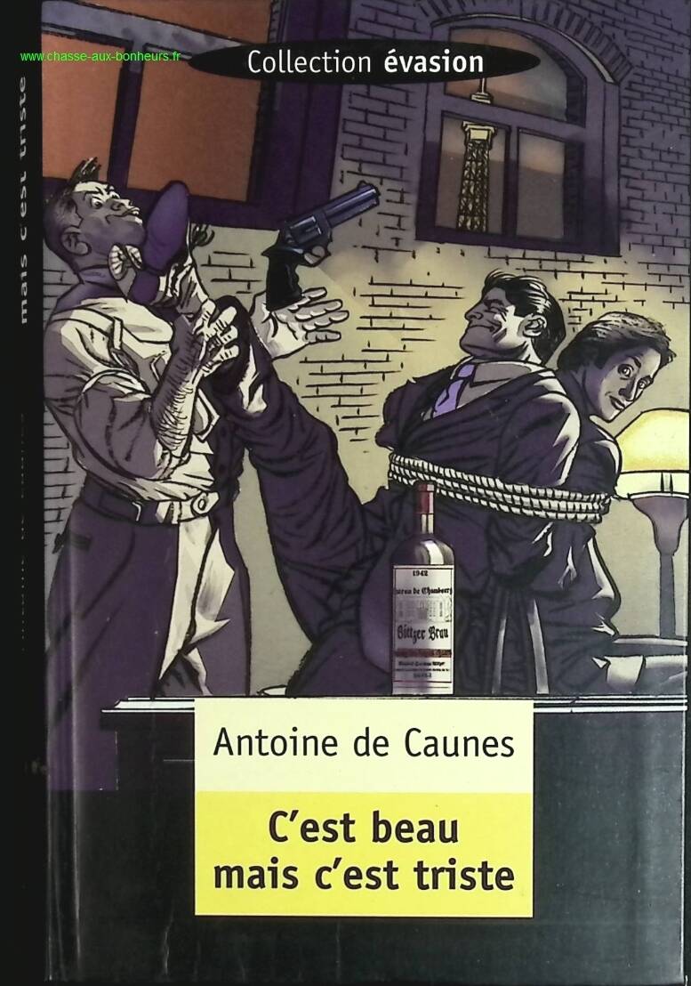 C'est beau mais c'est triste - Antoine de Caunes - livre
