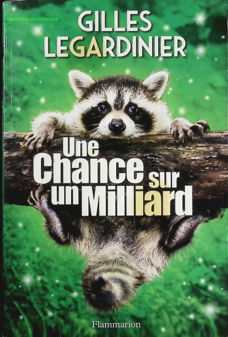 One in a Billion Chance - Gilles Legardinier - Book
