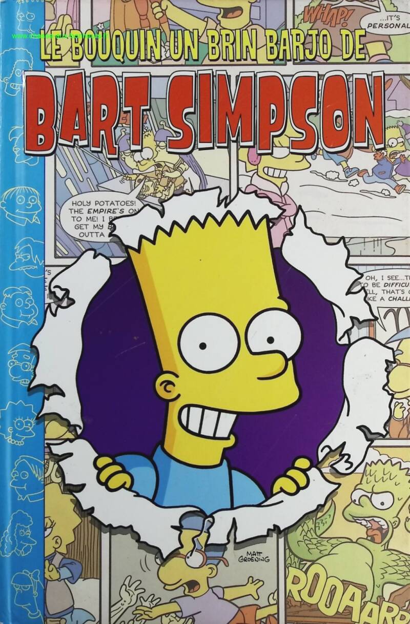 Le bouquin un brin barjo de Bart Simpson - Matt Groening - livre BD