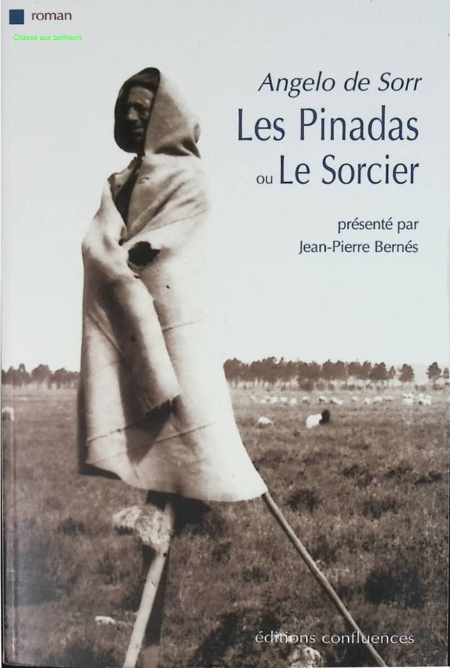 Die Pinadas oder der Zauberer – Angelo de Sorr – Buch