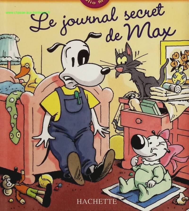 Max's Secret Diary - Valérie Videau, Michel Coudeyre - book