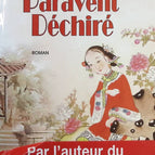 Der zerrissene Bildschirm - Paul Couturiau - Buch