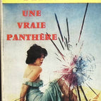 Ein echter Panther - Jean Bruce - Buch