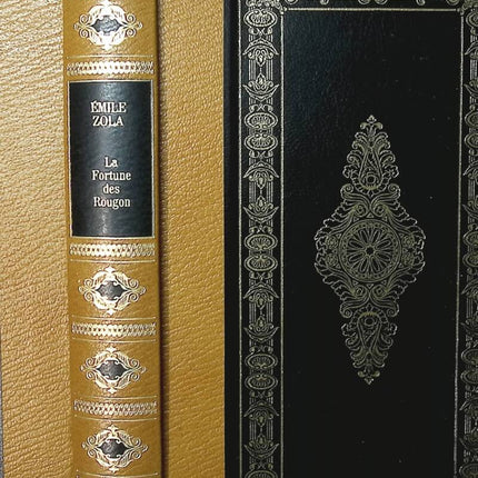 Das Glück der Rougons - Emile Zola - Buch
