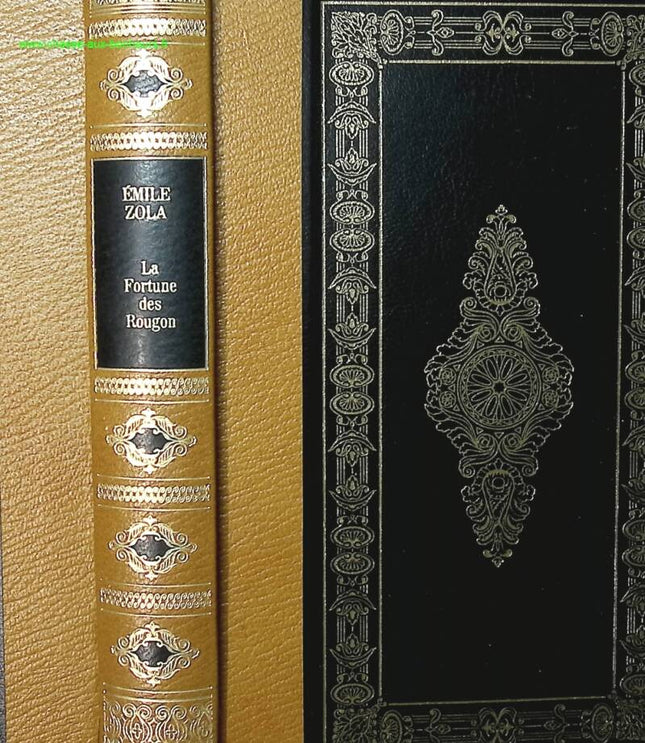 Das Glück der Rougons - Emile Zola - Buch