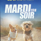 Mardi soir, 19h - Gilles Legardinier - 2021 - livre