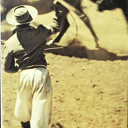 Diadorim - João Guimarães Rosa - livre