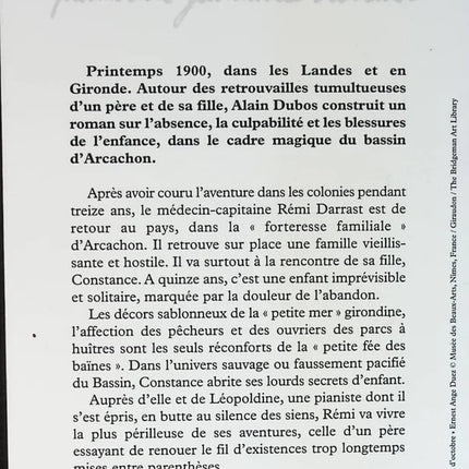 Constance and the Winter City - Alain Dubos - book