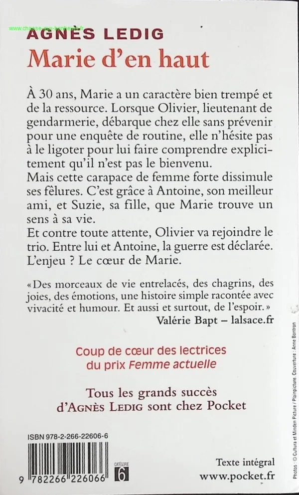 Mary from above - Agnès Ledig - Book