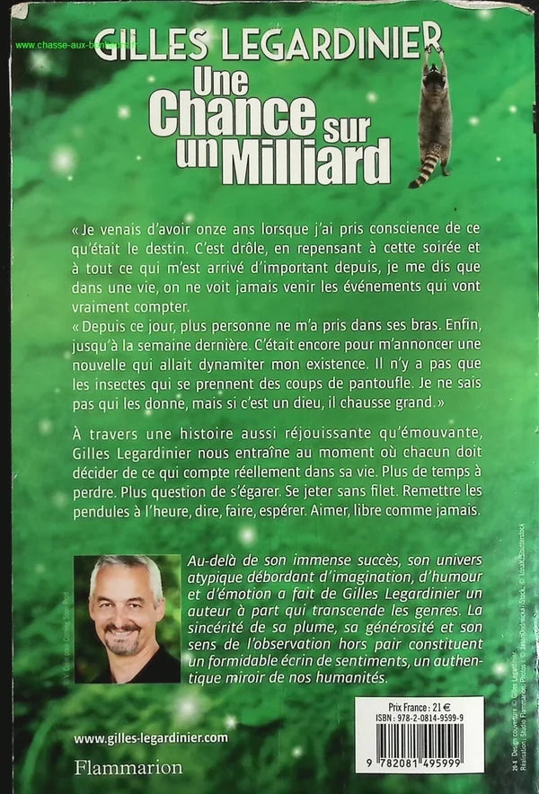 One in a Billion Chance - Gilles Legardinier - Book