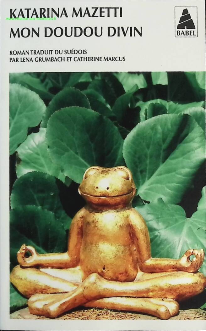 My divine comforter - Katarina Mazetti - book