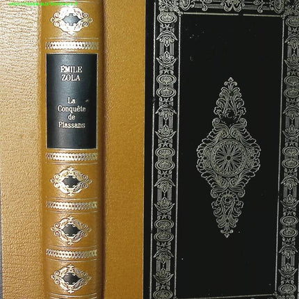 Die Eroberung von Plassans - Emile Zola - Buch