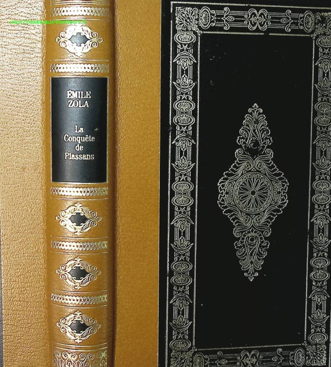 Die Eroberung von Plassans - Emile Zola - Buch