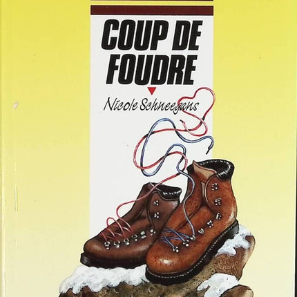 Coup de foudre - Nicole Schneegans - livre