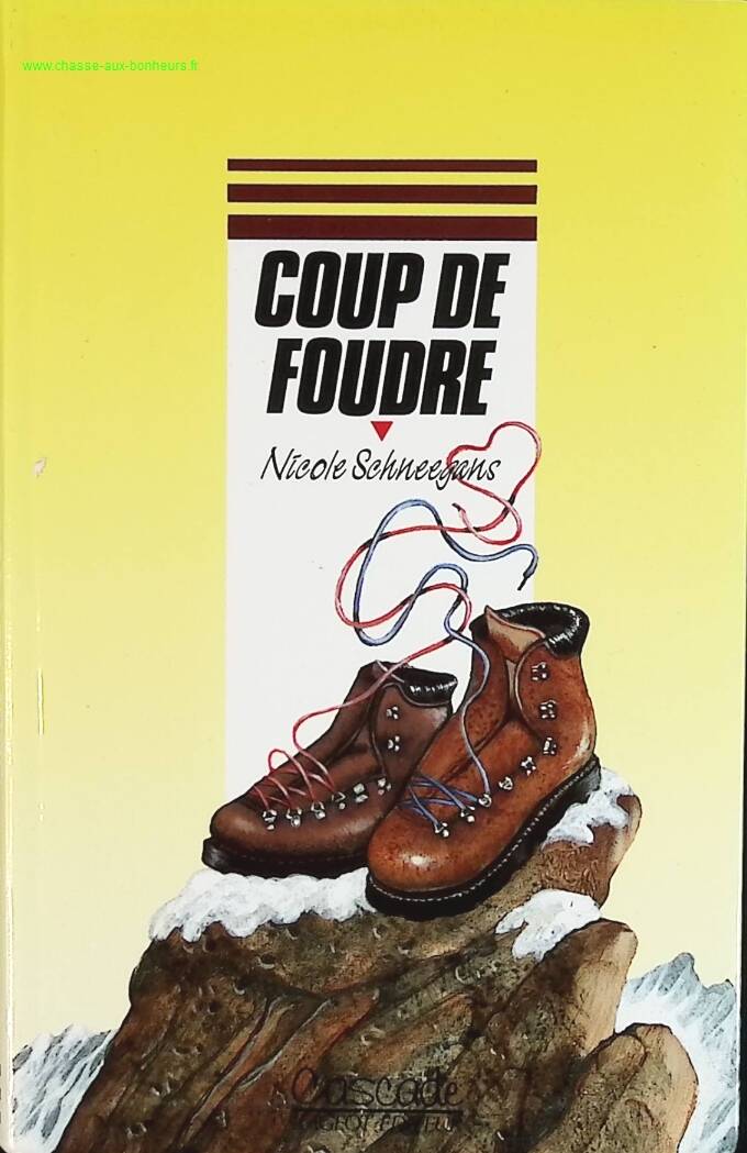 Coup de foudre - Nicole Schneegans - livre
