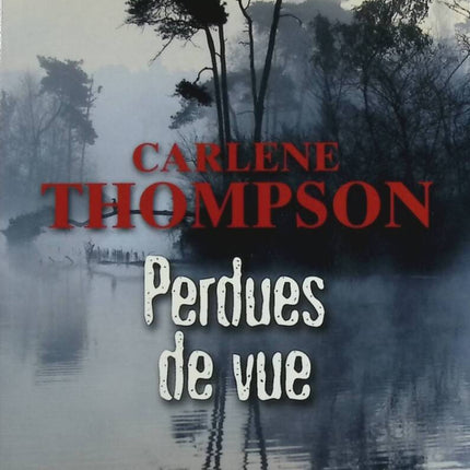 Perdues de vue – Carlene Thompson – thriller psychologique disparition suspense enquête occasion - livre