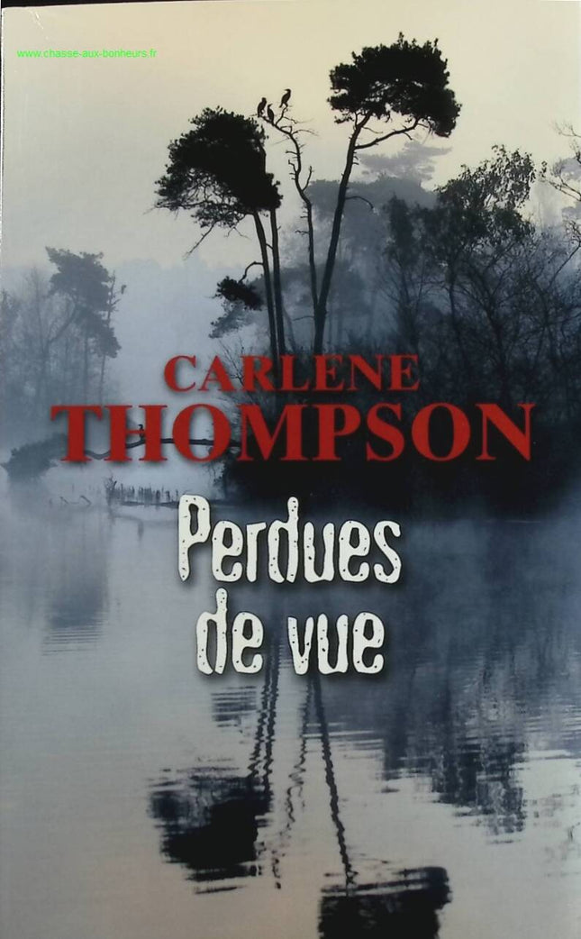 Lost from Sight - Carlene Thompson - book