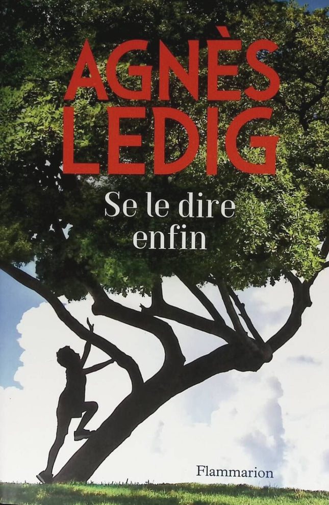 Se le dire enfin - Agnès Ledig - livre