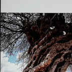 Erste Stunde - Erri De Luca - 2012 - Buch