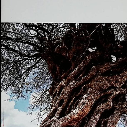 Erste Stunde - Erri De Luca - 2012 - Buch