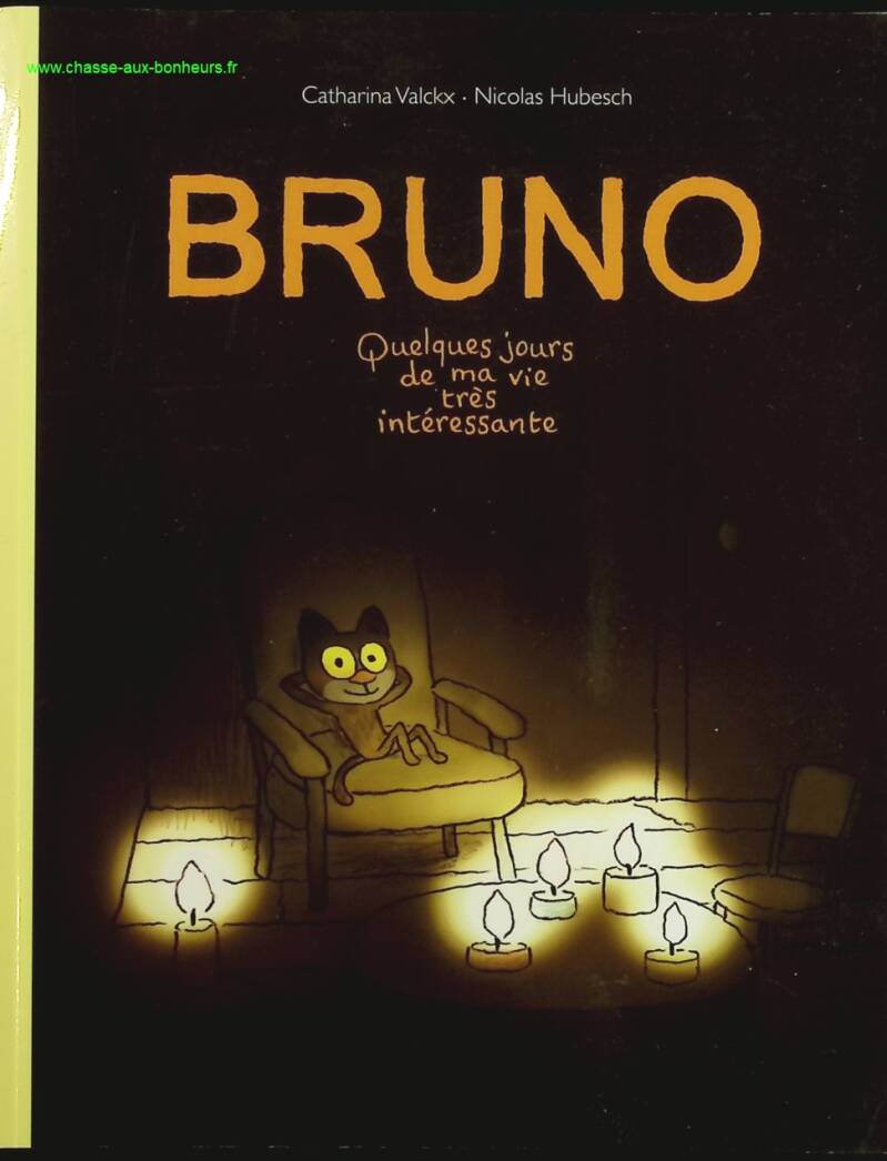 Bruno, quelques jours de ma vie très intéressante - Nicolas Valckx - livre