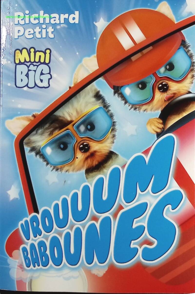 Vrouuum Babounes - Petit, Richard - book