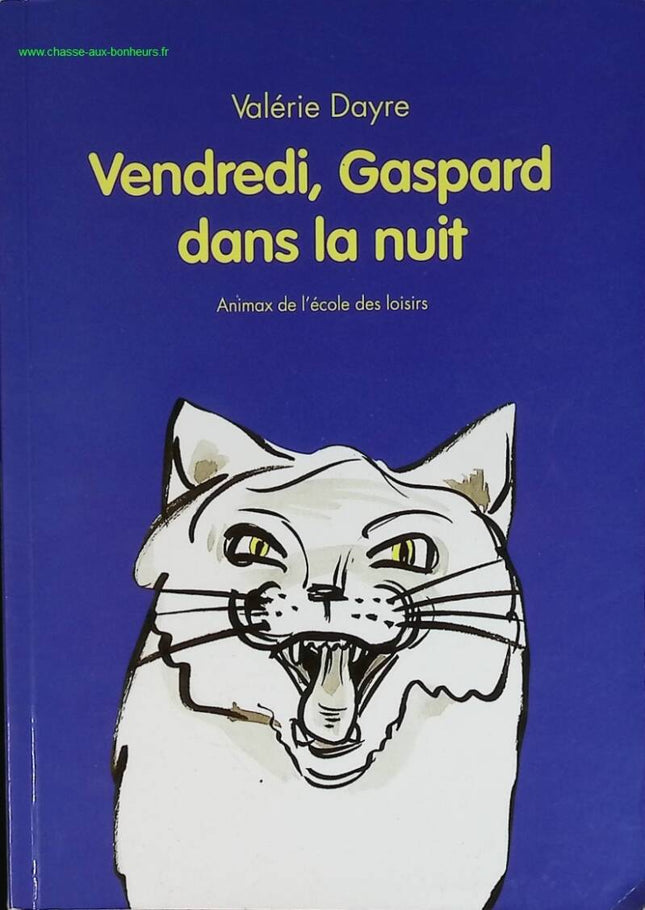 Freitag, Gaspard in der Nacht - Valérie Dayre - Buch
