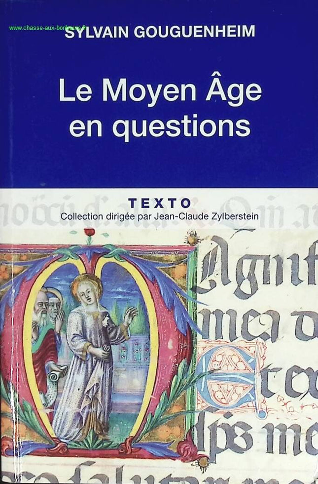 Le Moyen Age en questions - Sylvain Gouguenheim - livre