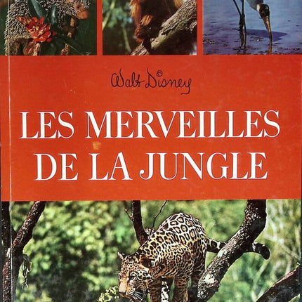 Les merveilles de la jungle - Walt Disney - 1971 - livre