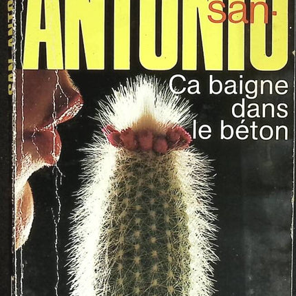 It's bathed in concrete - San-Antonio - book