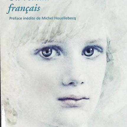 Ein französischer Roman - Frédéric Beigbeder - Buch