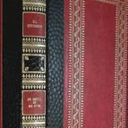 Dr. Jekyll and Mr. Hyde - Famot - RL Stevenson - book