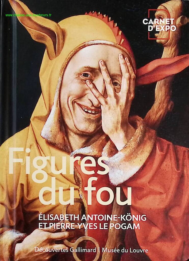 Figures of the Madman - Pierre-Yves Le Pogam - Book