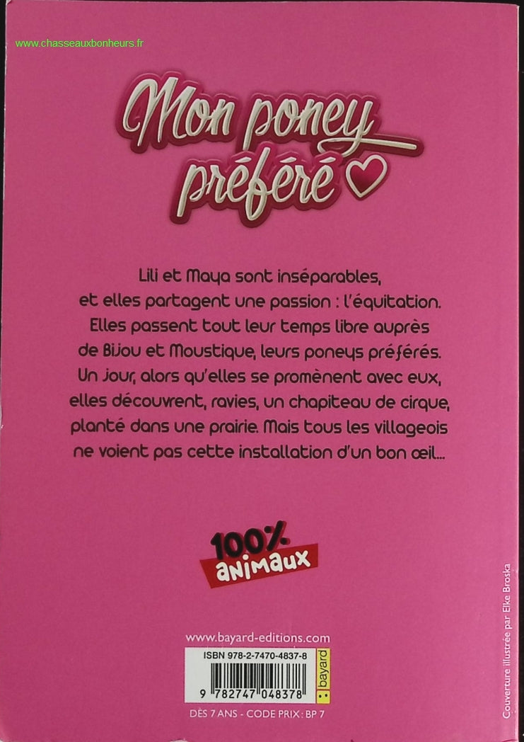 Someone Good - Françoise Bourdin - book