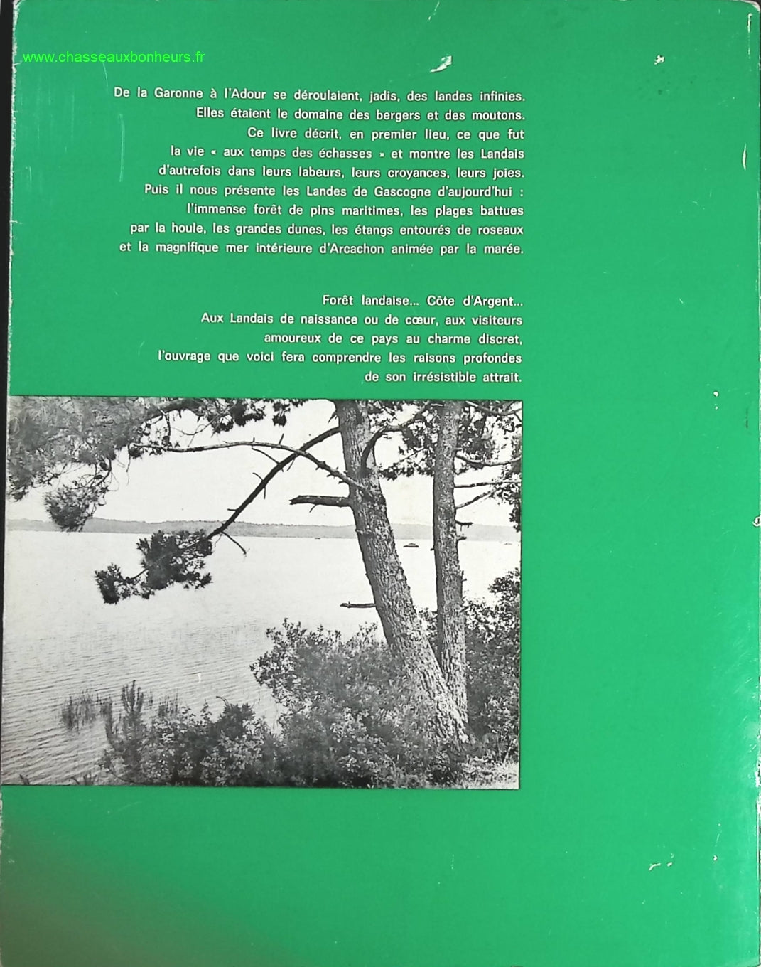 Les landes de Gascogne et la côte d'argent - Louis Papy - livre