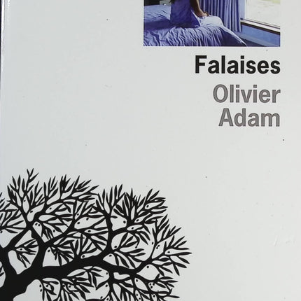Falaises - Olivier Adam - livre