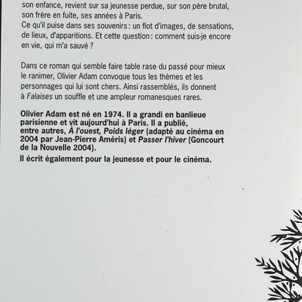 Falaises - Olivier Adam - livre