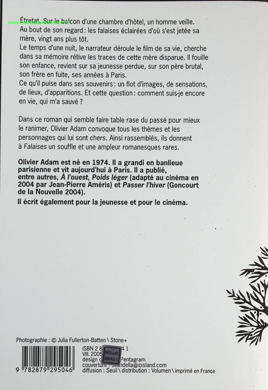 Someone Good - Françoise Bourdin - book