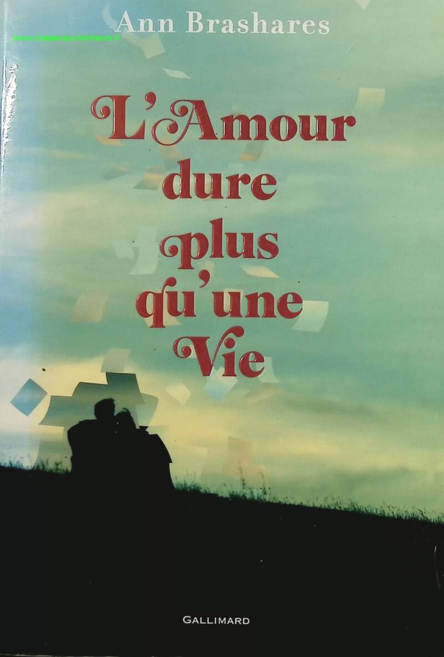 Love Lasts Longer Than a Lifetime - Ann Brashares - book