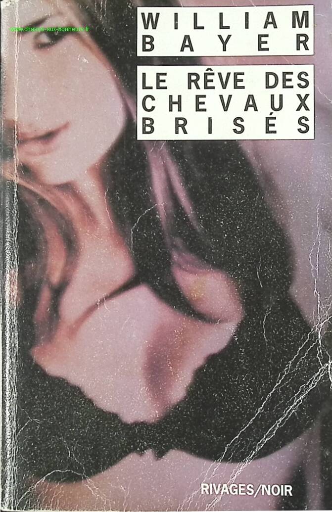 The Dream of Broken Horses - William Bayer - book