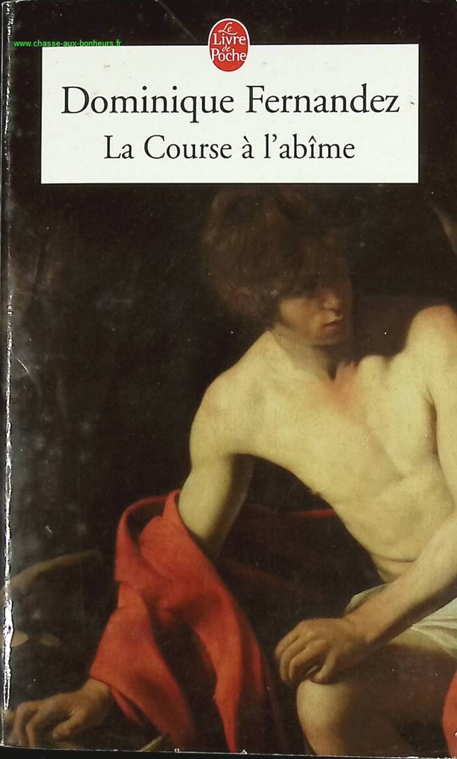 Das Rennen in den Abgrund - Dominique Fernandez - Buch