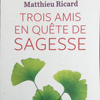 Three Friends in Search of Wisdom - Christophe André, Alexandre Jollien, Matthieu Ricard - book