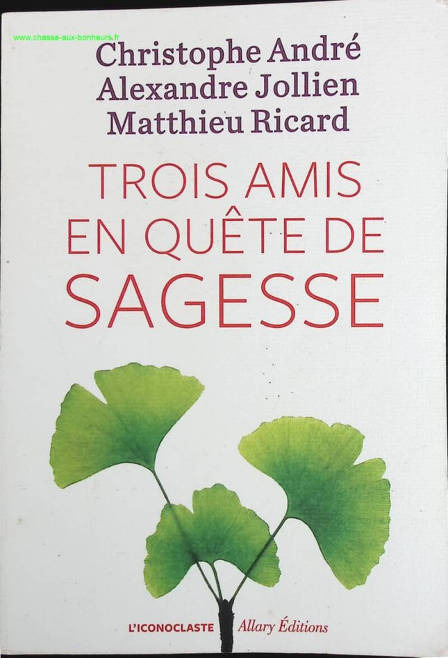 Three Friends in Search of Wisdom - Christophe André, Alexandre Jollien, Matthieu Ricard - book