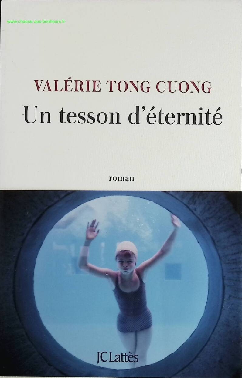 A Shard of Eternity - Valérie Tong Cuong - book