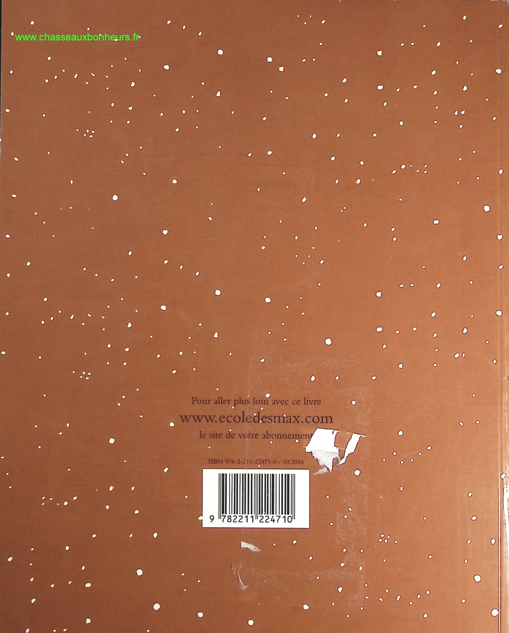 Someone Good - Françoise Bourdin - book